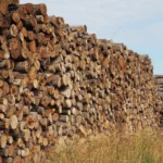 Malkų sunkvežimis – buko, ąžuolo, skroblo – 30 kubinių metrų